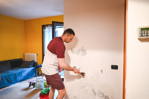Best Affordable Mold Removal  in Colonial Heights, VA